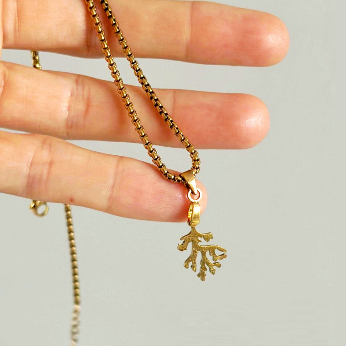 "The gold coral pendant is stunning, and the mauve resin pearl necklace with the Amethyst charm feels magical. I love layering them — so unique and vibrant!" ✧ YANA