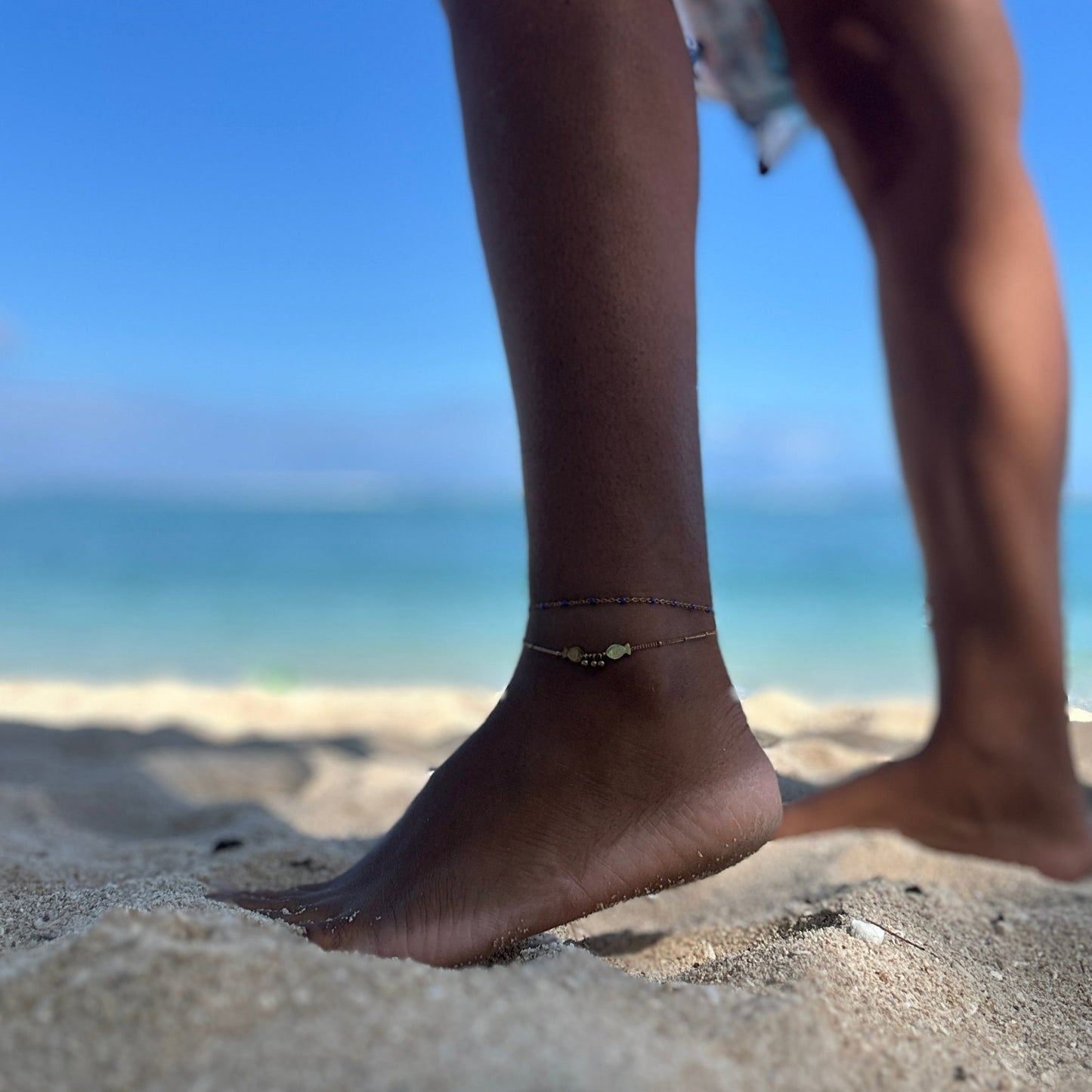 ANKLET Fishes