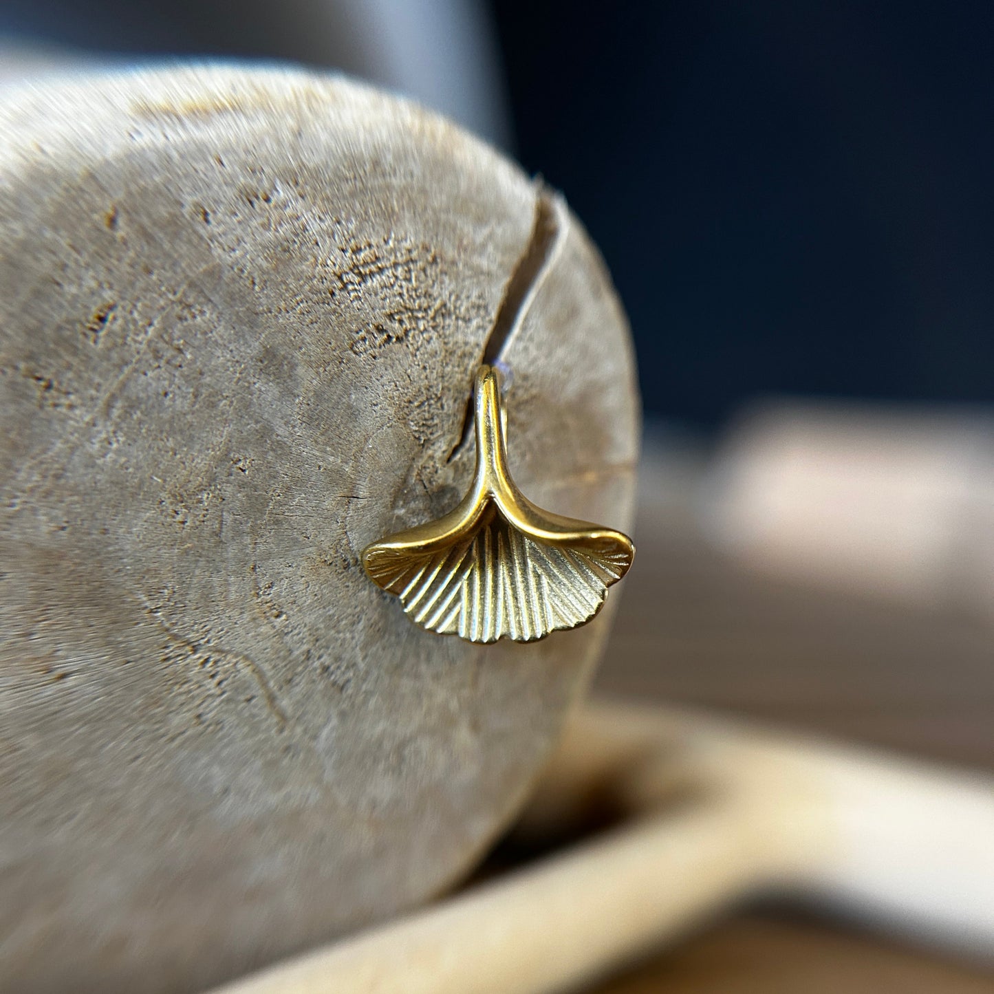 Ginkgo leaf