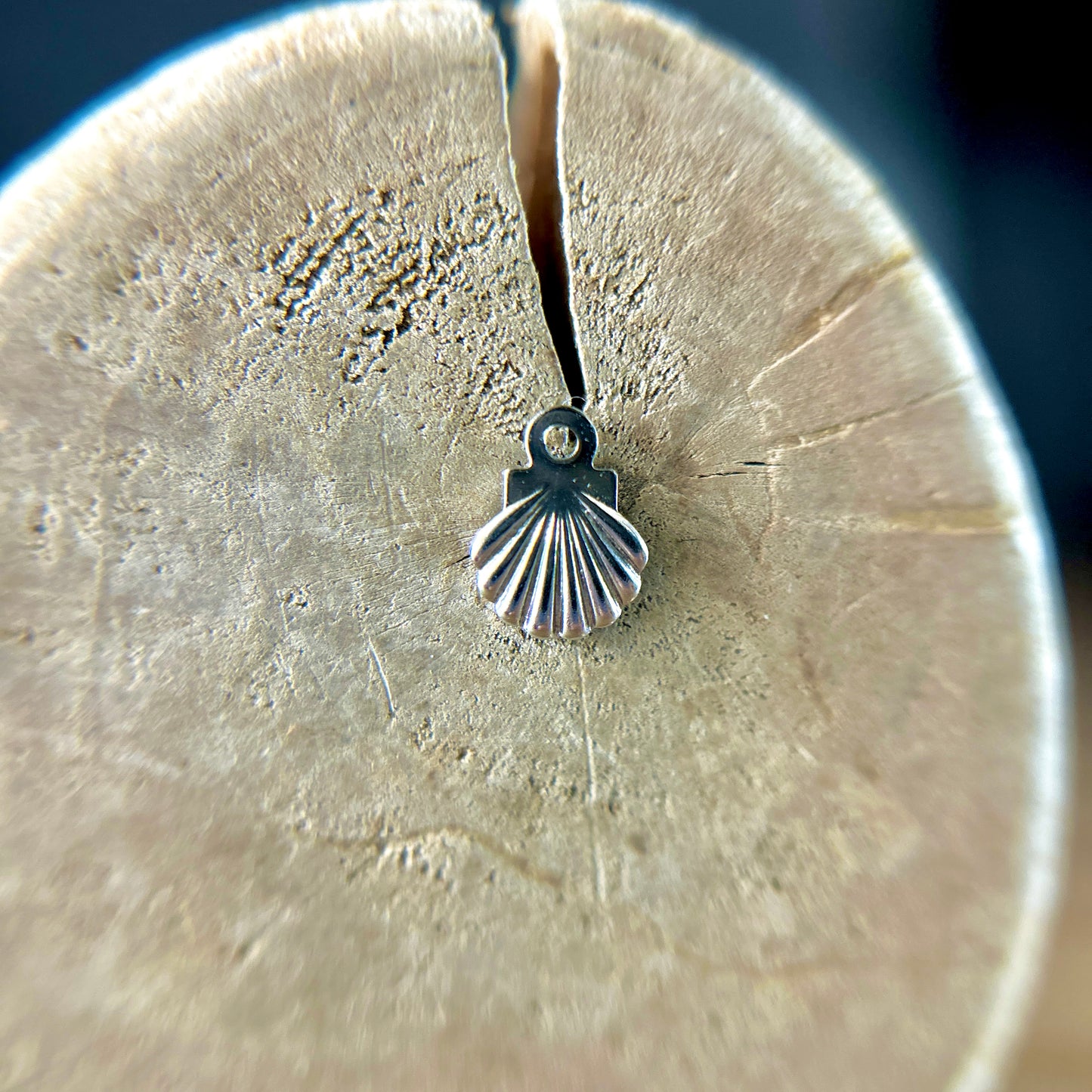 Seashell Whisper