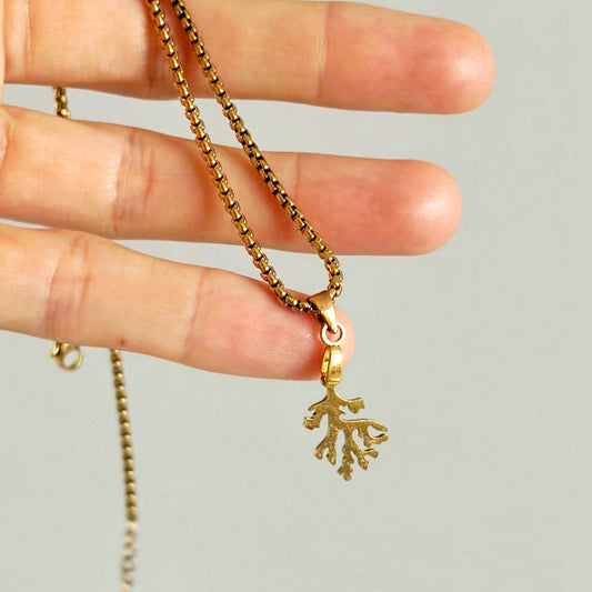 "The gold coral pendant is stunning, and the mauve resin pearl necklace with the Amethyst charm feels magical. I love layering them — so unique and vibrant!"  ✧  YANA