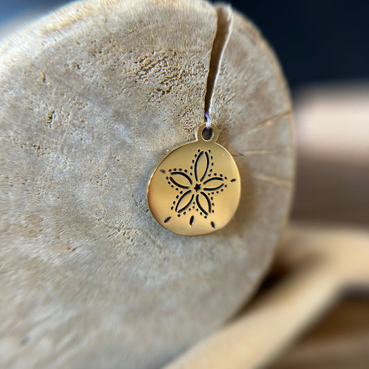Sand Dollar - Sea Urchin