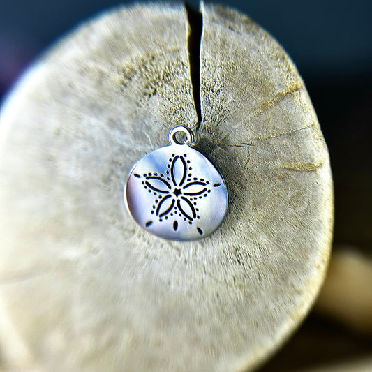 Sand Dollar - Sea Urchin