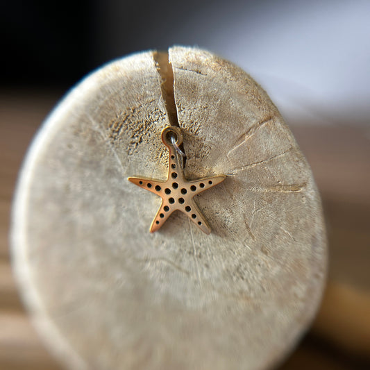 Star Pendant