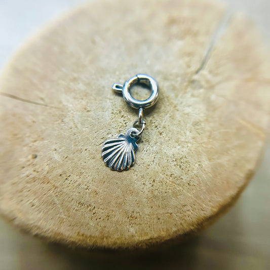 Seashell Whisper