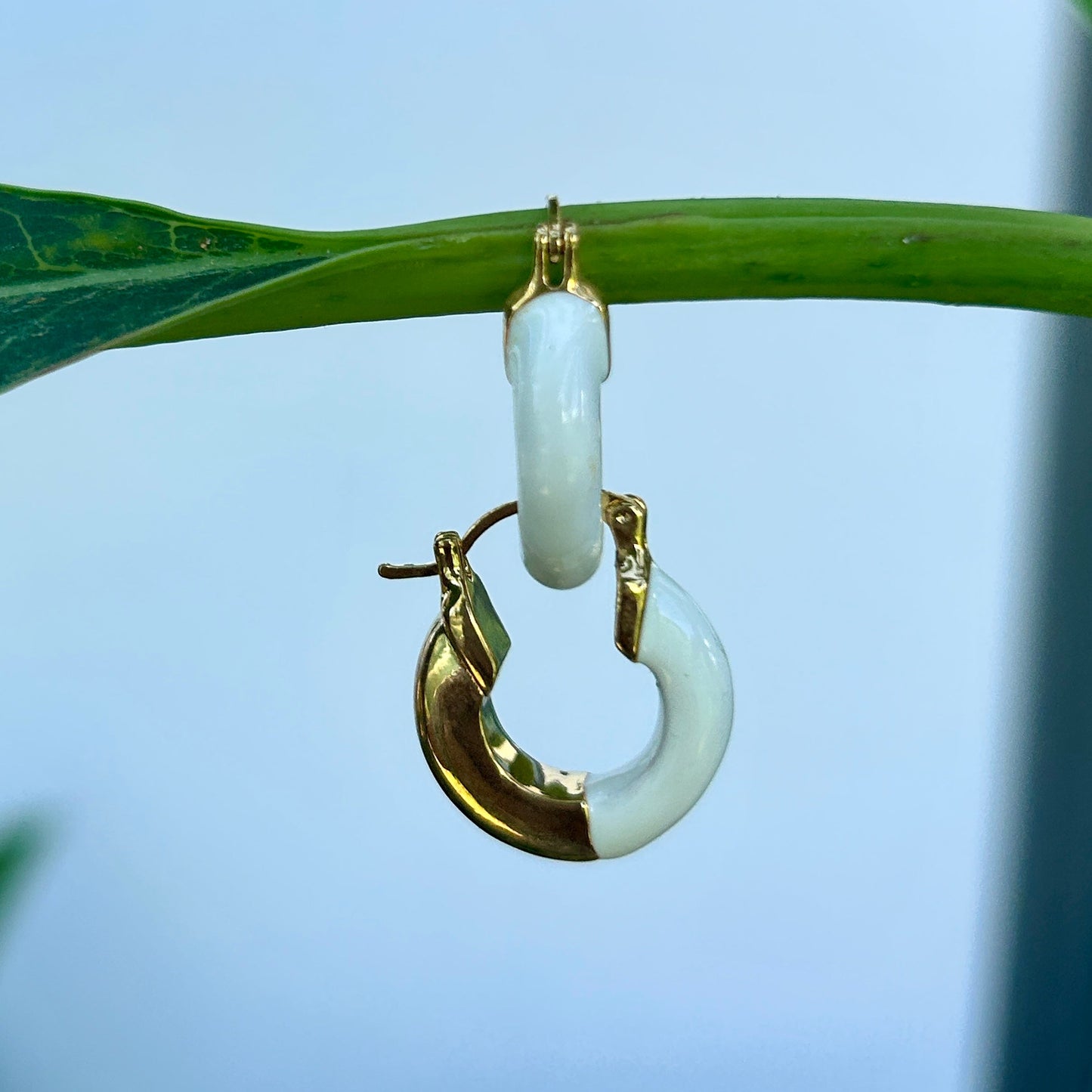 Round Hoop Golden Earrings - Small Colourful