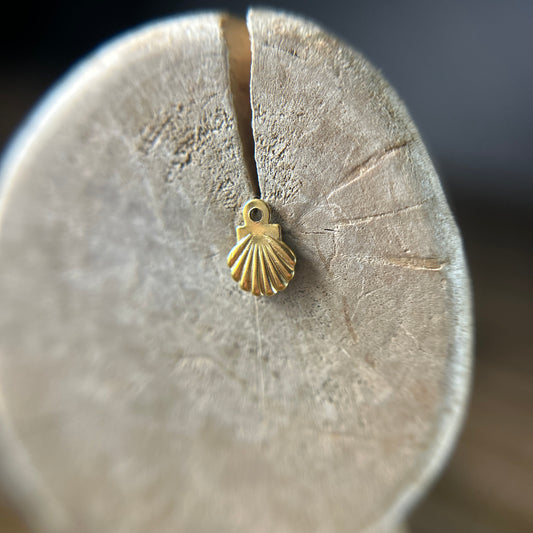 Seashell Whisper